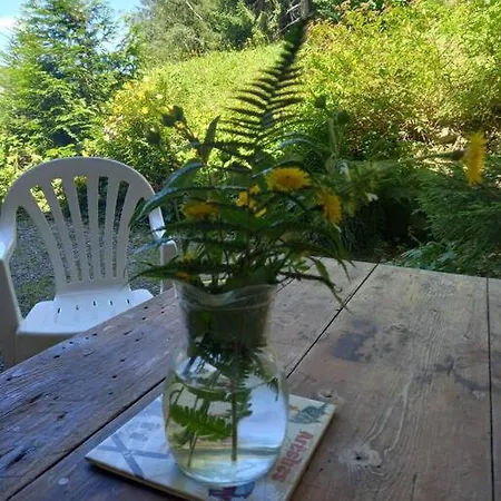 Les Bossons En Lisiere De Foret Dans Le Genepi Apartment *