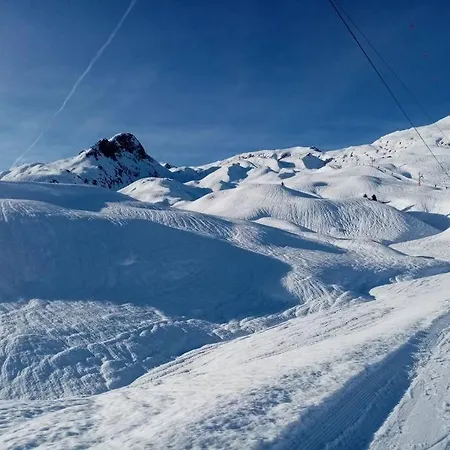 Les Bossons En Lisiere De Foret Dans Le Genepi * Areches